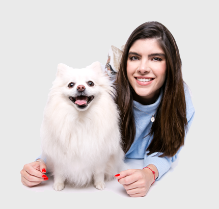 Cupom ZeeDog é TIFF