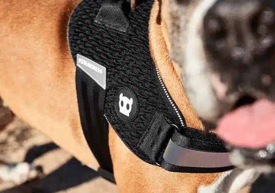 cupom zeedog frete grátis