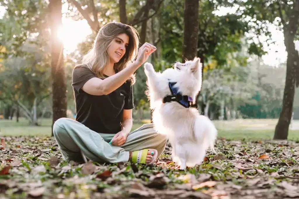 Mulher sorridente brincando com cachorro no parque