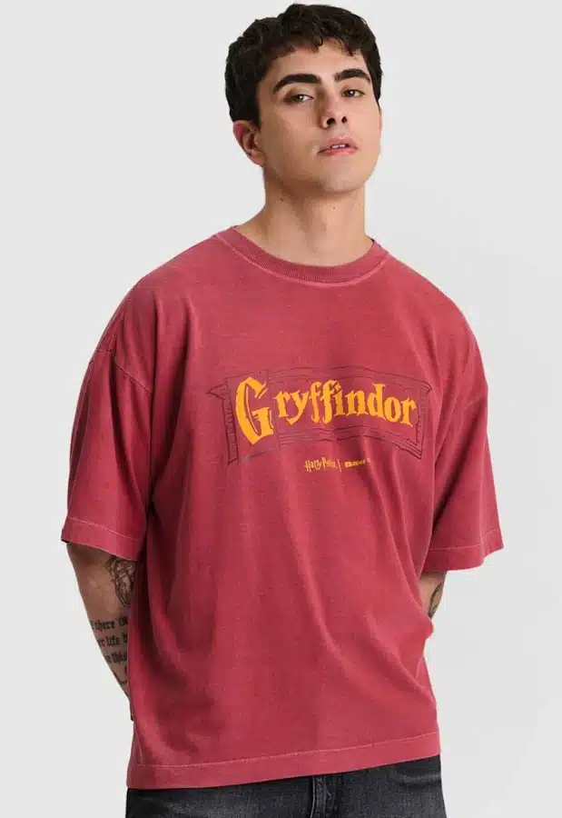 Camiseta baw x harry potter