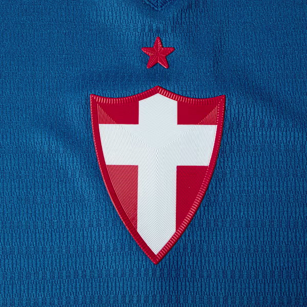 Somos Palmeiras
