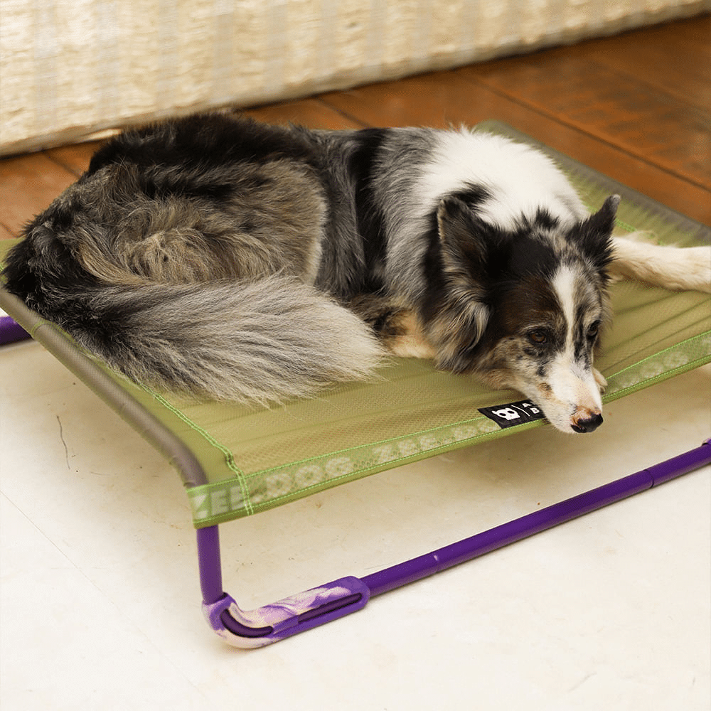 Air Bed