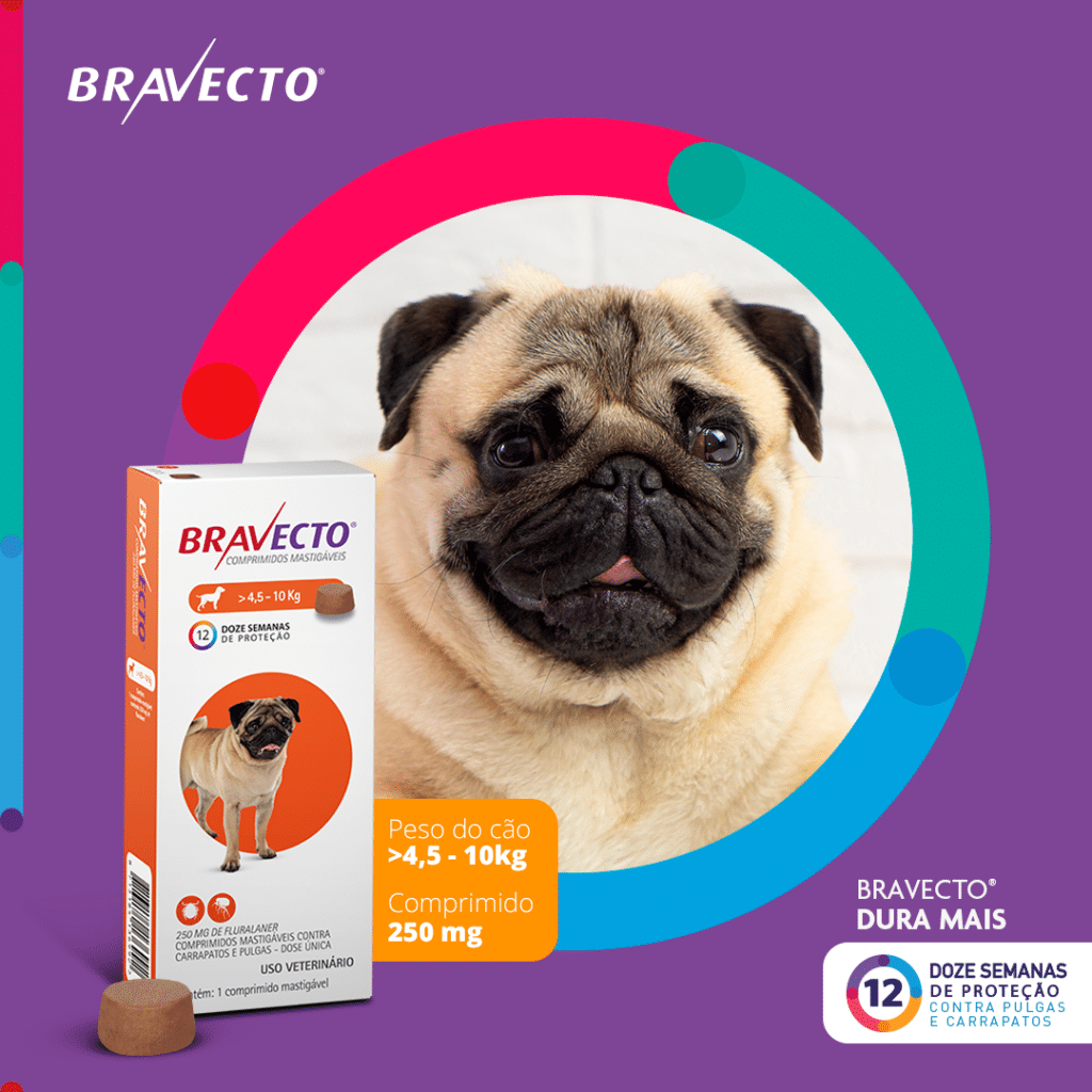 Antipulgas bravecto