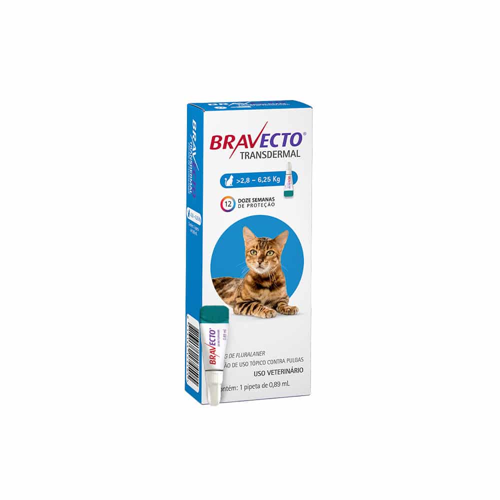 Bravecto gatos